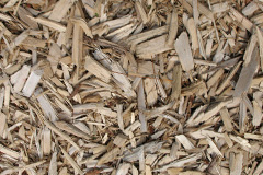 biomass boilers Duckmanton
